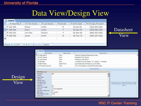 Image result for Access Design View Guide