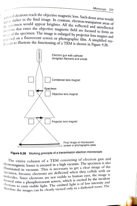 Image result for types electron microscope