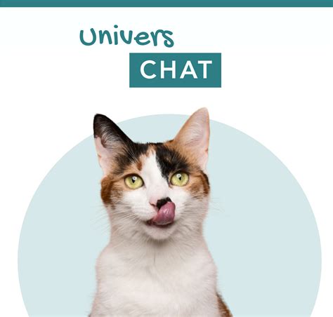 Collier GPS Chat に対する画像結果