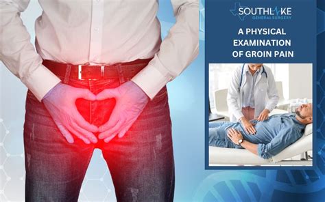 Image result for Male Groin Area