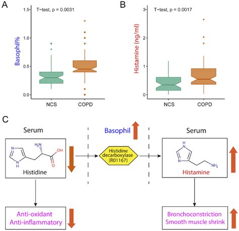 Image result for Histidine Histamine