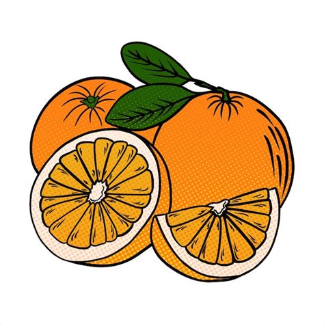 Afbeeldingsresultaten voor Orange Fruit Vector