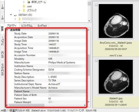 File Dcem に対する画像結果