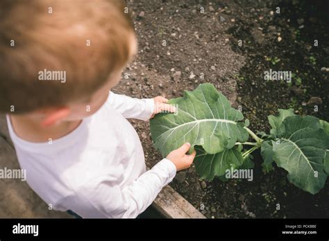 Image result for Plants Grab Boy's Arm