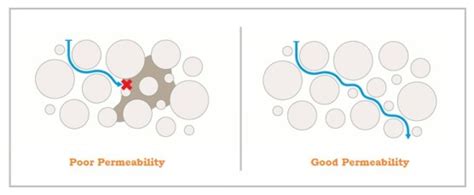 Image result for Types of Permeability