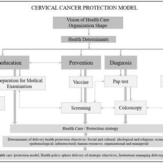 Image result for Logic Model Example Cervical Cancer