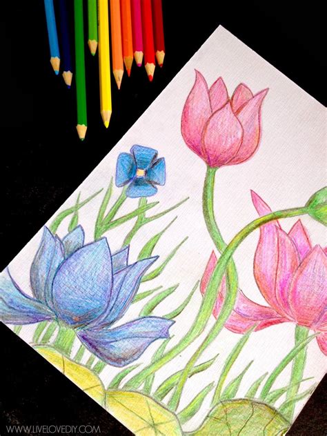 Toradh íomhá ar Color Pencil Drawing for Beginners