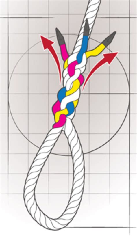 Image result for Eight Strand Eye Splice