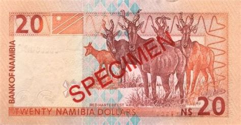 Image result for Namibia Current Notes