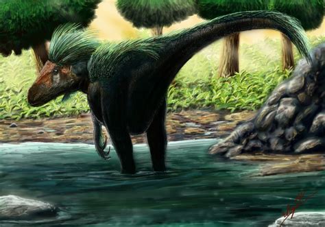 Image result for Siats