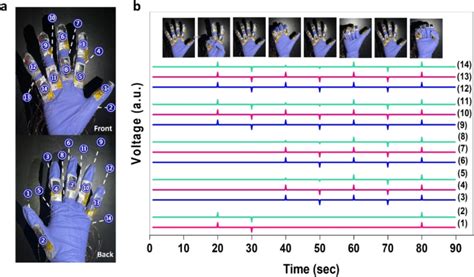 Kinetic Energy Sensor Array に対する画像結果