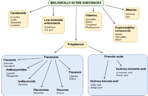 Image result for Bioactive Factors