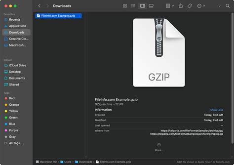 Image result for Gzip File Format Poster