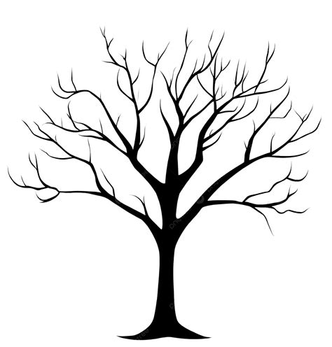 Image result for Simple Leafless Tree