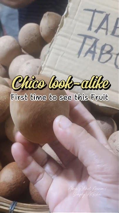 Image result for Chico Look Alike