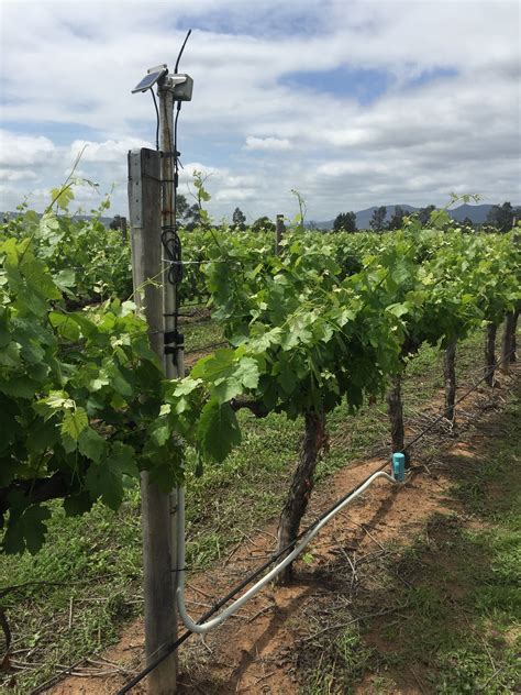 Image result for Edge Impulse Vineyard Irrigation