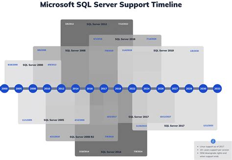 Toradh íomhá ar What Is Microsoft SQL Server Good For
