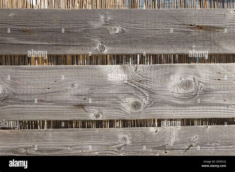 Afbeeldingsresultaten voor Artificial Objects