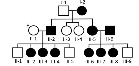 Image result for Types of Pedigree Inheritance