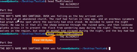 Image result for Head of Command Example