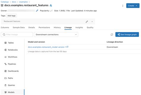 Afbeeldingsresultaten voor Databricks Lineage Model Data