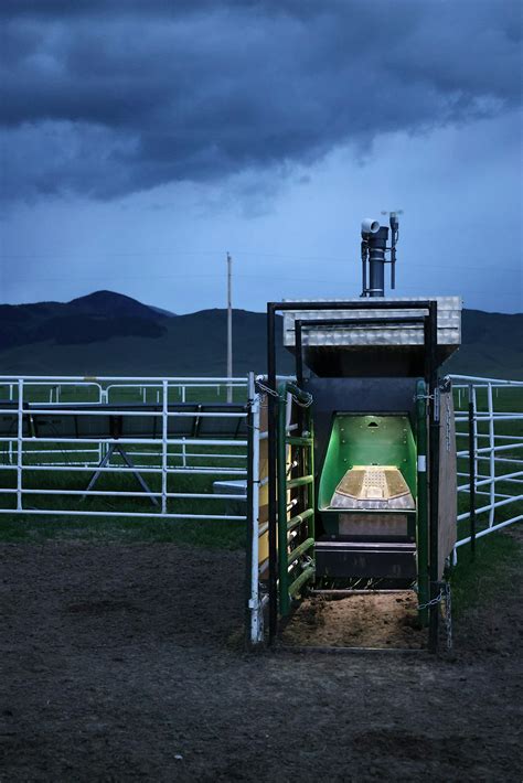 Image result for Feed On Skid Project