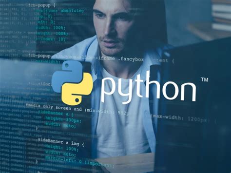 Python Coding Framework に対する画像結果