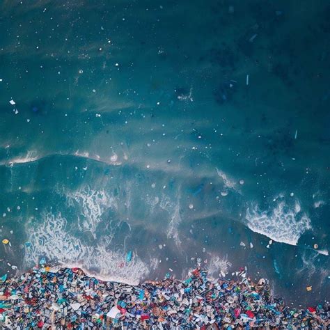 Ocean Pollution Data に対する画像結果