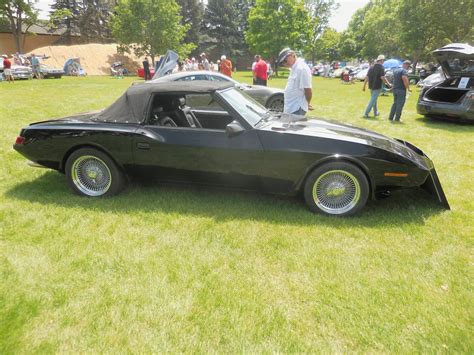 Kelly Python Car ପାଇଁ ପ୍ରତିଛବି ଫଳାଫଳ