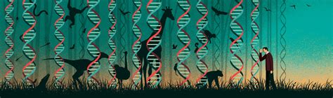 Image result for Biological and Evolutionary Basis