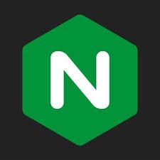 Image result for Nginx First Logo