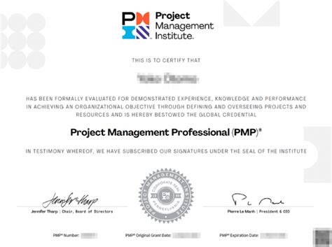 PMP Sertification Sample に対する画像結果