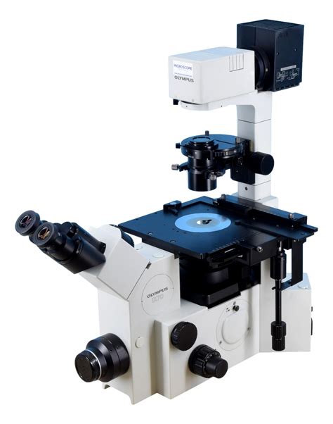 Olympus IX70 Inverted Phase Contrast Microscope – Microscope Central