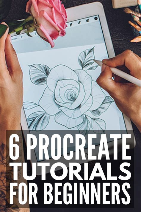 Image result for Easy Step by Step Drawing for Beginners Procreate