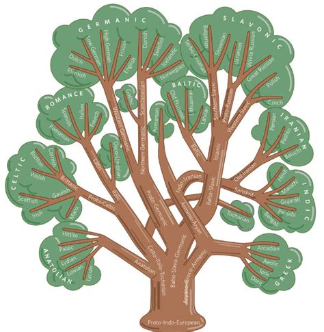 Image result for Computer Language Lineage Tree