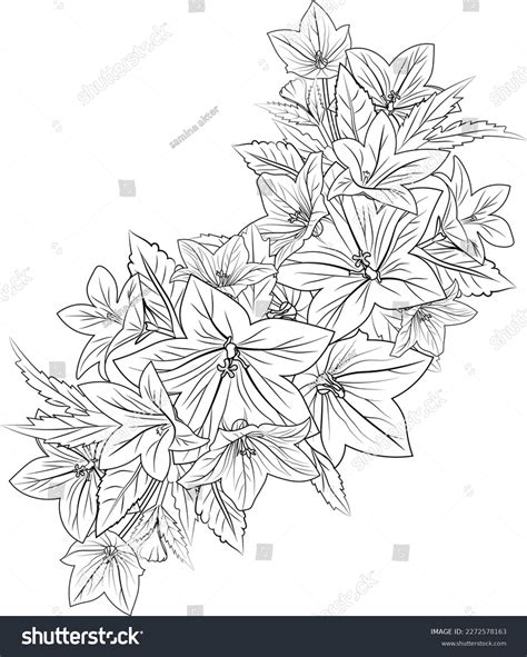 Toradh íomhá ar Bell Flower Drawing