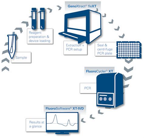Image result for Microbiology Workflow