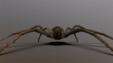Afbeeldingsresultaten voor Realistic Spider Print