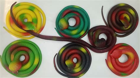 Image result for Python Snake Toy