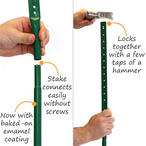 Image result for Slow Birds Crossing