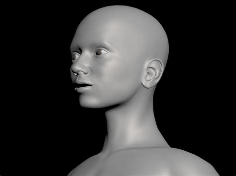 Image result for Base Face Model