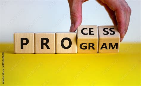Image result for Program Process Graphics