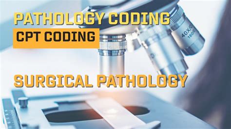 Pathology Coding Cheat Sheet に対する画像結果