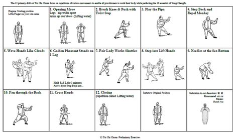 Tai Chi Chart に対する画像結果