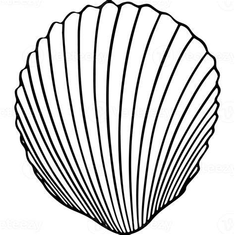 Afbeeldingsresultaten voor Program Shell Icon