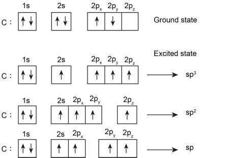 Afbeeldingsresultaten voor Hybridization of Carbon Diagram