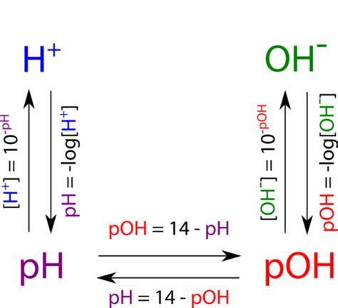 Activity Exploring Ph Relationships Answer Key に対する画像結果