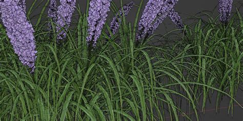 Image result for Blender 4 3 Bush Asset