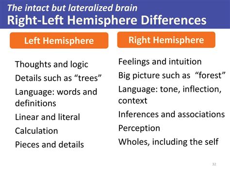 Image result for brain hemisphere differences