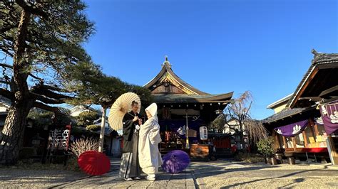 Image result for Nara Japan Deer Map